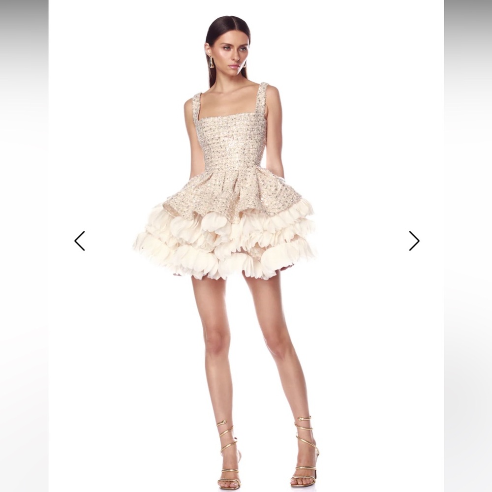Bronx and Banco mini Catalina Dress size XS Gold & creme $850 orig price